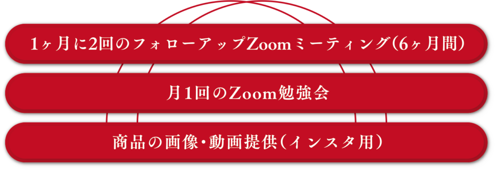 主なサポート内容